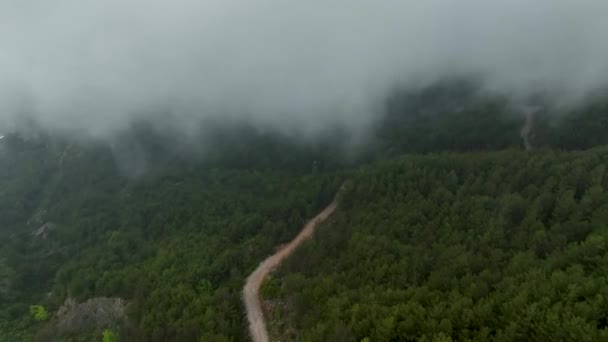 Удивляйтесь Чудесам Облачного Ландшафта Беспилотник Дает Воздушную Перспективу Мистического Леса — стоковое видео