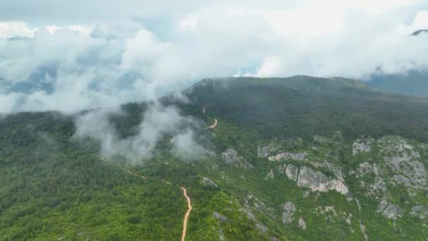 加入无人驾驶飞机的空中探险 因为它带你在神秘的森林中进行迷人的旅行 — 图库视频影像