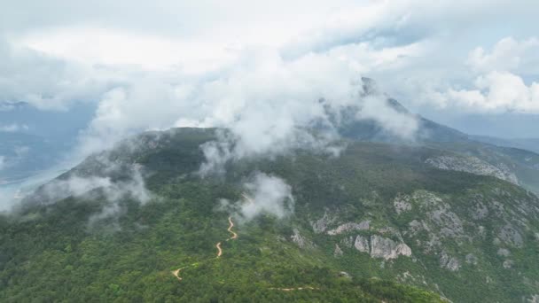 Sumérjase Selva Bañada Por Lluvia Mientras Dron Ofrece Una Perspectiva — Vídeos de Stock