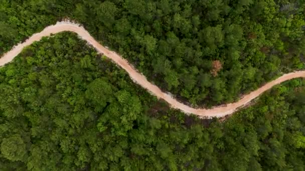 Delight Aerial View Enigmatic Road Its Lush Green Surroundings Drone — Stock Video
