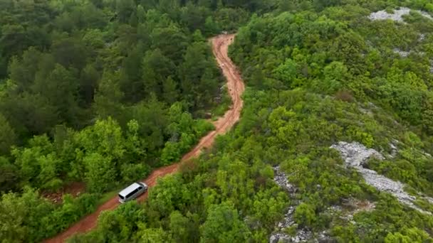 Plongez Dans Les Secrets Forêt Alors Que Drone Lance Dans — Video