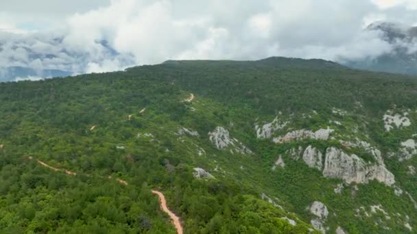 Zanurz Się Mglistym Blasku Eterycznego Lasu Szczycie Góry Gdy Dron — Wideo stockowe