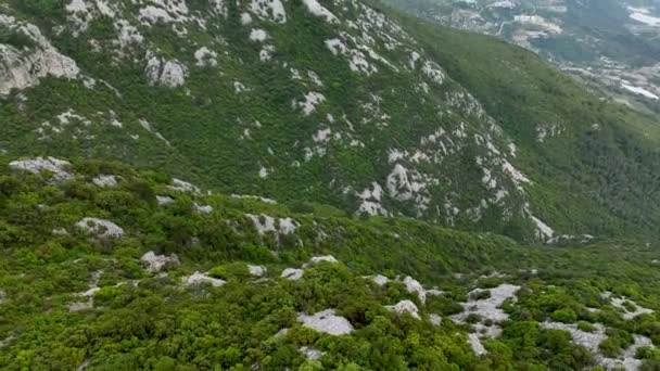 無人機があなたを山の範囲で静かな緑の森の空中探査に連れて行き 隣接する地中海の息をのむような景色を提供するので 穏やかな旅に出る — ストック動画