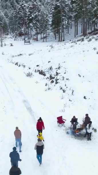 雪に覆われた渓谷や森林 冬の旅のための理想的なスポットを見てみましょう — ストック動画