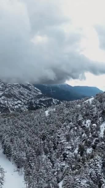 Πάρτε Μια Πανοραμική Θέα Χιονισμένα Δάση Και Κοιλάδες Μια Μαγική — Αρχείο Βίντεο