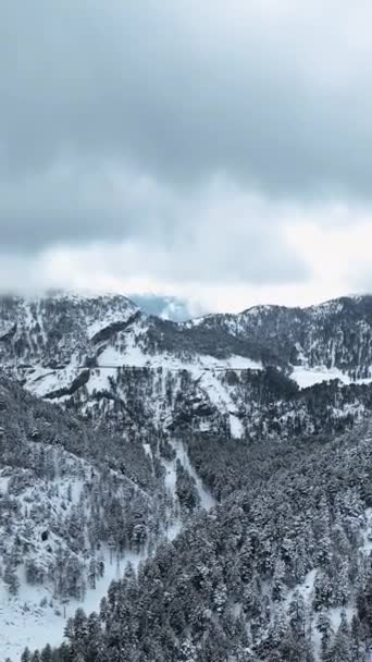 Πάρτε Μια Πανοραμική Θέα Του Χιονισμένου Δάσους Και Των Βουνών — Αρχείο Βίντεο