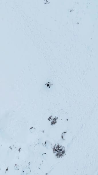 Luftaufnahme Der Geheimnisvollen Schneebedeckten Gipfel Und Dichten Rätselhaften Winterwälder — Stockvideo