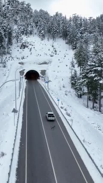 雪に覆われた山道のオーバーヘッドサイト 新しいソーシャルメディアプロジェクトに最適です — ストック動画
