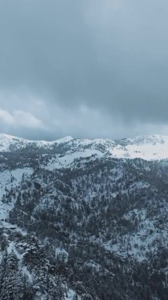Pohled Zasněžené Vrcholky Mystické Zimní Lesy Ideální Pro Zimní Projekty — Stock video