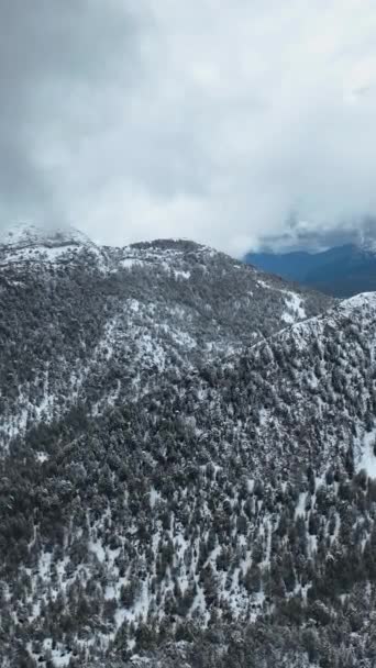 Una Perspectiva Aérea Enigmático Bosque Invernal Montañas Cubiertas Nieve — Vídeos de Stock