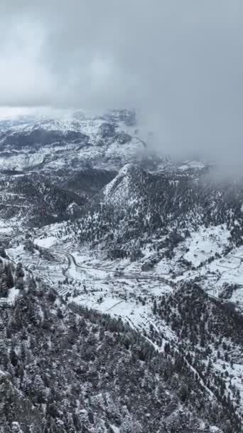 Ένα Εναέριο Θέαμα Χιονισμένων Βουνών Και Ένα Αινιγματικό Χειμερινό Δάσος — Αρχείο Βίντεο