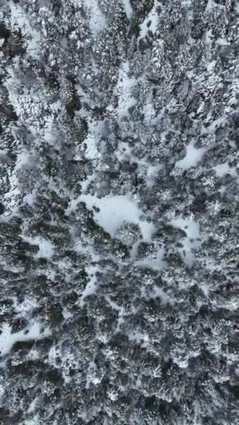 Una Vista Aérea Las Enigmáticas Montañas Cubiertas Nieve Bosque Invierno — Vídeo de stock