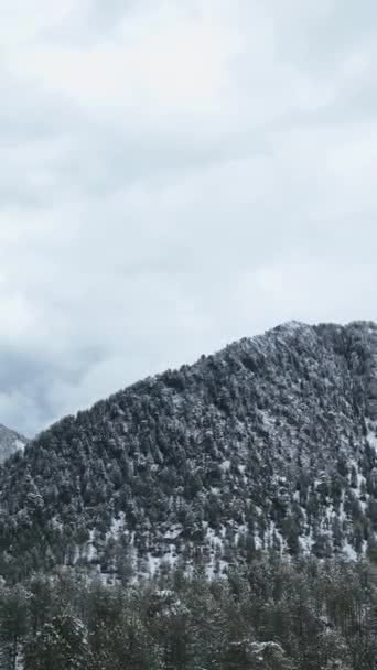 Засвидетельствуйте Мистическую Красоту Зимнего Леса Снежных Вершин Воздушной Перспективы — стоковое видео