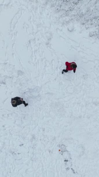 Captura Vistazo Aéreo Picos Nevados Misterioso Encanto Los Bosques Invierno — Vídeos de Stock