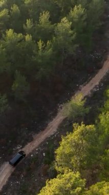 Mistik bir orman macerasına atlayın. Büyüleyici yeşillikler arasında seyahat eden lüks bir araba gibi. Sinematik dron görüntülerinde görüntülenmiştir..