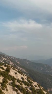 Sinema insansız hava aracı videosuyla çekilen yeşil yaban hayatının havadan görüntüleriyle ormanın nefes kesici bir keşfine çıkın..