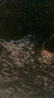 Sinema insansız hava aracı görüntülerinde görüntülenen gizemli yeşil ormanın havadan görüntüsüyle ormanın görkemli dinginliğinin tadını çıkarın..