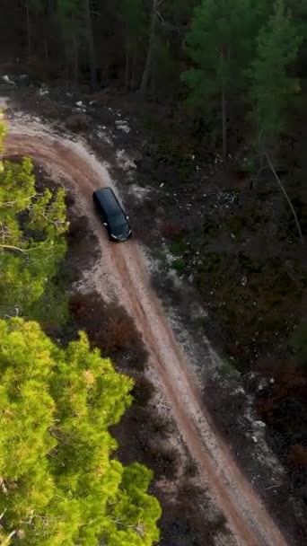 Escapar Mundo Cinematográfico Como Coche Negro Lujo Aventura Bosque Verde — Vídeo de stock