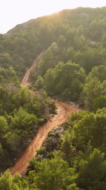 Ormanın Görkemli Sükunetinde Keyif Çatın Lüks Bir Araba Esrarengiz Yeşilliğin — Stok video
