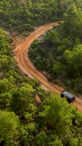 Wyrusz Fascynującą Eksplorację Lasu Gdy Luksusowy Samochód Odkrywa Tajemnice Lotu — Wideo stockowe
