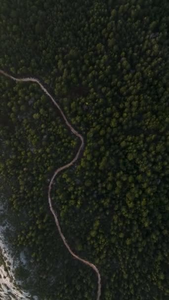 Begeben Sie Sich Auf Ein Rätselhaftes Waldabenteuer Mit Luftaufnahmen Der — Stockvideo