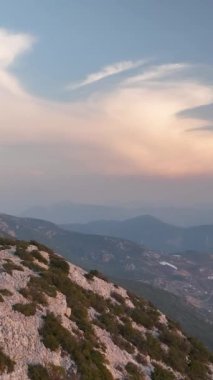 Sinema insansız hava aracı videosundaki gizemli yeşil yaban hayatının hava görüntüsüyle orman keşiflerinin nefes kesici anlarını yakalayın..