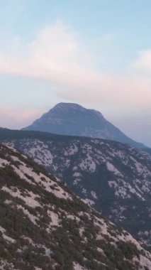 Büyüleyici insansız hava aracı görüntülerine yakalanmış mistik ormanı havadan gören yeşil cenneti keşfedin..