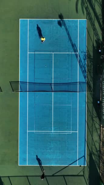 プレイヤーが魅力的な空中の視点から見たヤシの木に囲まれた裁判所でテニスの試合に従事しているので スポーツの世界への脱出 — ストック動画