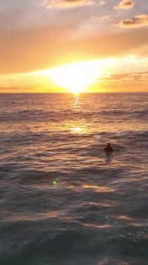 Büyüleyici bir gün batımı sörf seansının heyecanını yaşamak sörfçülerin heyecan verici anlarını sörf tahtalarında yakalamak..