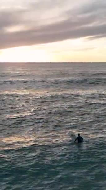 Zachwyć Się Powietrzną Perspektywą Surferów Wdziękiem Ujeżdżających Fale Lazurowej Plaży — Wideo stockowe