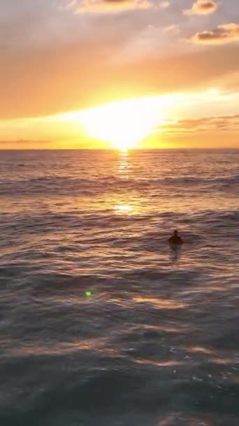 Experimente Emoción Una Cautivadora Sesión Surf Atardecer Capturando Los Emocionantes — Vídeos de Stock