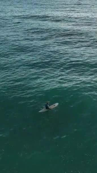 Disfrute Serenidad Costera Mientras Observa Vista Aérea Los Surfistas Disfrutando — Vídeos de Stock