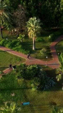 Türkiye 'nin Alanya kentindeki büyüleyici vahşi plajın hava manzarasına tanıklık ederken, kıyı güzelliğinin sinematik deneyimine adım atın..