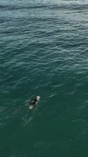 Sea Testigo Las Maravillas Arriba Mientras Captura Magia Del Surf — Vídeos de Stock