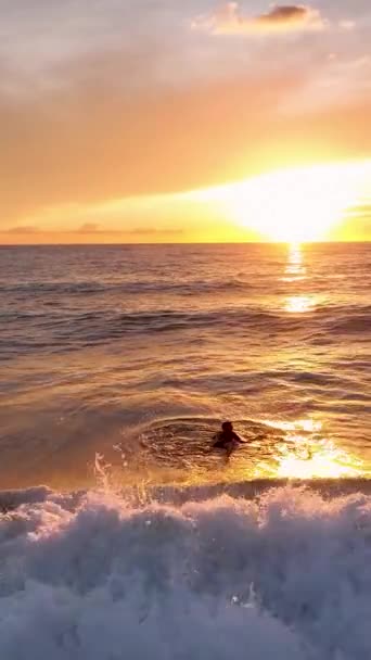 Deniz Kenarındaki Mutluluğun Coşkusunu Hisset Dikey Videoda Sahildeki Değerli Anların — Stok video