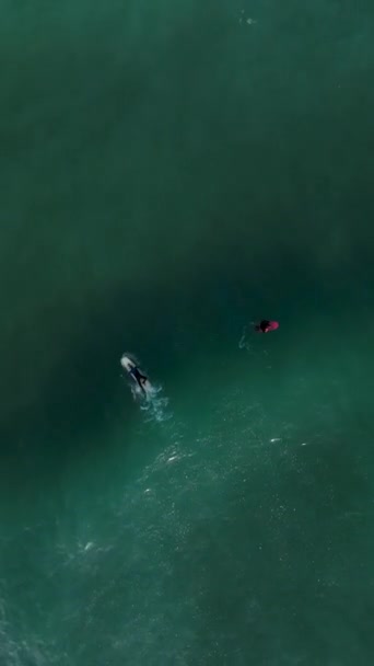 Zanurz Się Pogodnej Błogości Obserwując Surferów Akcji Lotu Ptaka Alanyi — Wideo stockowe