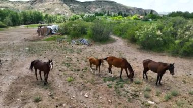 Hindi. İnsansız hava aracı inanılmaz kaya oluşumlarının üzerinde uçuyor. Muhteşem bir manzara.