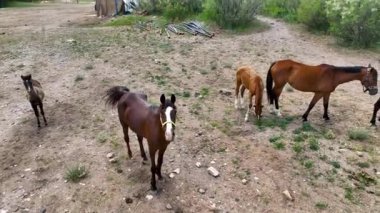 Hindi. İnsansız hava aracı inanılmaz kaya oluşumlarının üzerinde uçuyor. Muhteşem bir manzara.