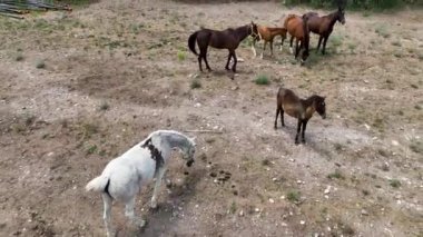 Hindi. İnsansız hava aracı inanılmaz kaya oluşumlarının üzerinde uçuyor. Muhteşem bir manzara.