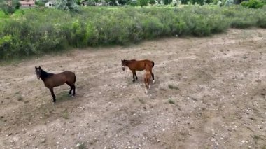 Hindi. İnsansız hava aracı inanılmaz kaya oluşumlarının üzerinde uçuyor. Muhteşem bir manzara.