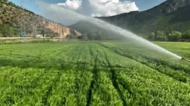 Farm Region green fields background