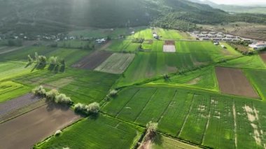 Farm Region green fields background