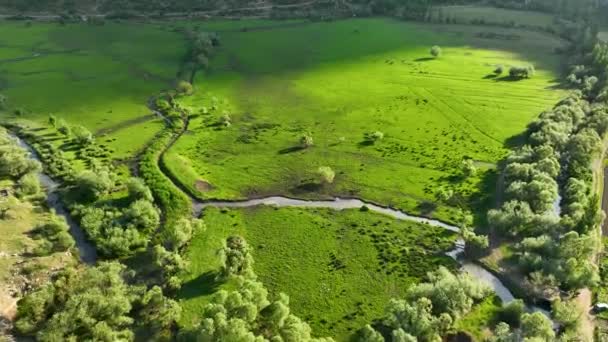 Вид Зелені Поля — стокове відео