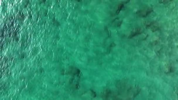 Sea Filmed Drone Day — Stock Video