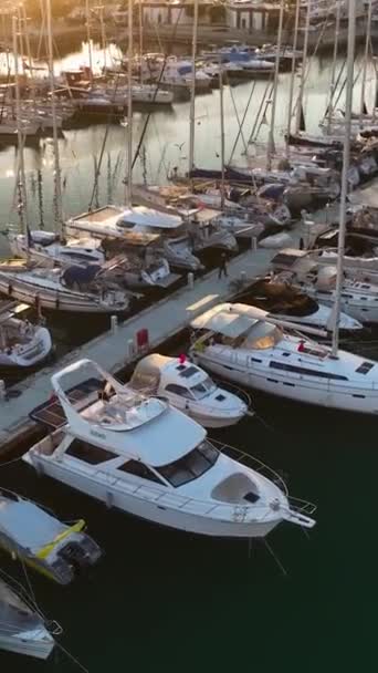 ヨットが美しく展示されているAlanyas海港の上に沈む太陽の静かな雰囲気をこの垂直ビデオで体験してください — ストック動画