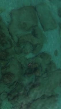 Dalış yapan bir ördeğin kıyı dünyasını inceleyin. Bu dikey videoda, bir dron tarafından yakından takip edilen ve havadan izlenen bir ördeğin suya daldığı gibi..