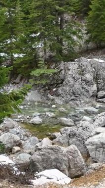 Bu dikey videoda bir nehir ve küçük şelalelerle süslenmiş dağ ormanlarının nefes kesici kış manzarasını yakalayın..