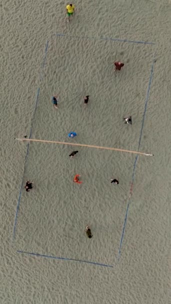 사람들이 배구를 생선을 공중에서 풍경의 아름다움을 — 비디오