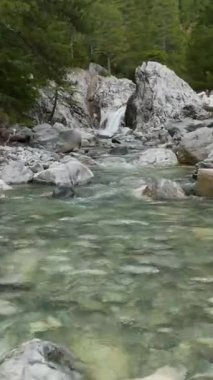 Bir hava cennetine adım atın ve bu dikey videoda resmedilen kış dağ ormanlarına, akan nehirlere ve çağlayan şelalelere hayran olun..