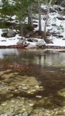 Bu dikey videoda, akan bir nehir ve manzaralı şelaleler göstererek, kış boyunca kendinizi Türk dağ ormanlarının ihtişamına daldırın..
